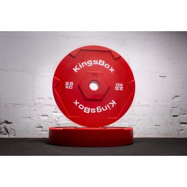 Disques de poids techniques de 2,5kg