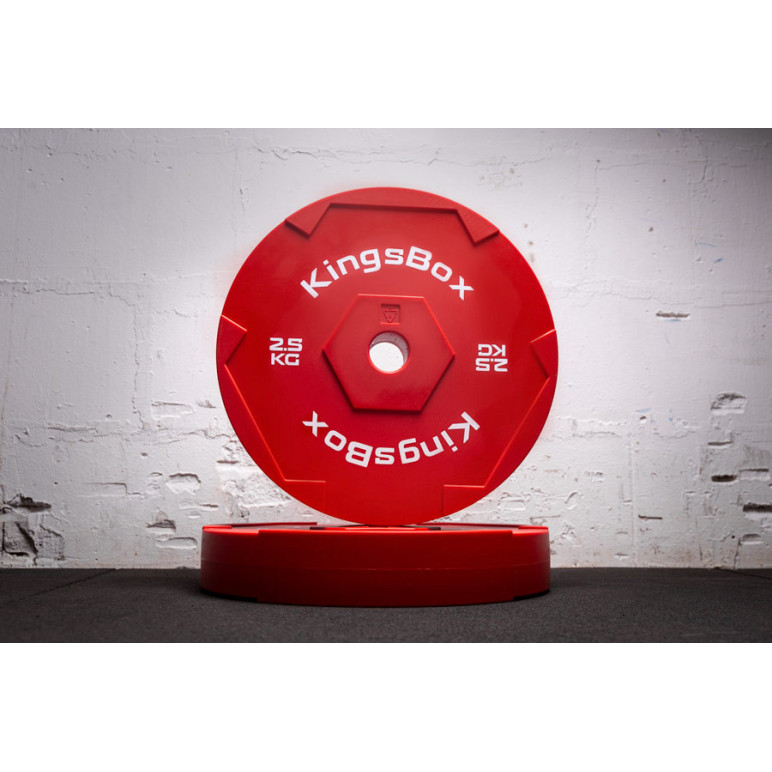 Disques de poids techniques de 2,5kg