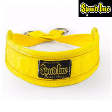 Ceinture lestée professionnelle