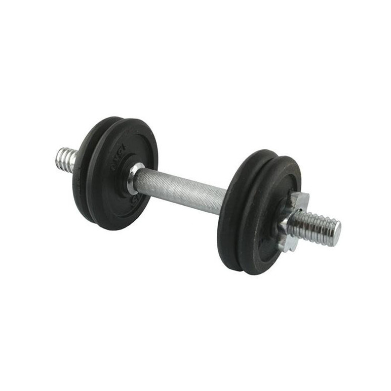 Haltere de musculation avec disque de poids