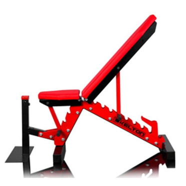 Banc de musculation professionnel avec support à options