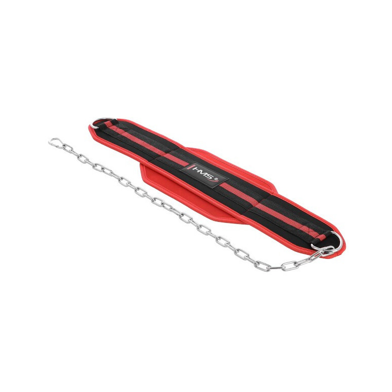 Ceinture de lest pour dips et tractions en homegym de musculation