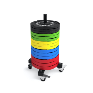 Support de rangement ultra robuste pour disques olympiques