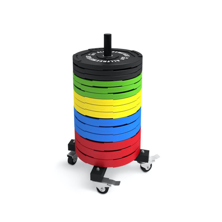 Support de rangement ultra robuste pour disques olympiques