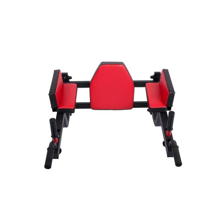 station dips et abodminaux à fixation murale pour séances d'exercices à capacité de charge 250 kg