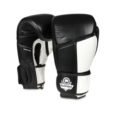 Gants de boxe professionnels pour sports de combat.