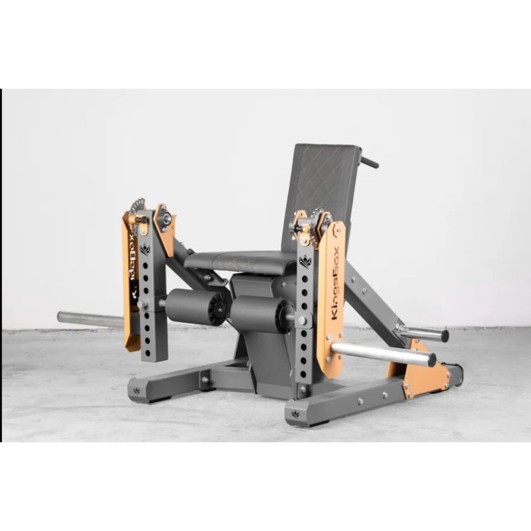 Appareil de musculation pour training des jambes - Leg curl et Leg extension