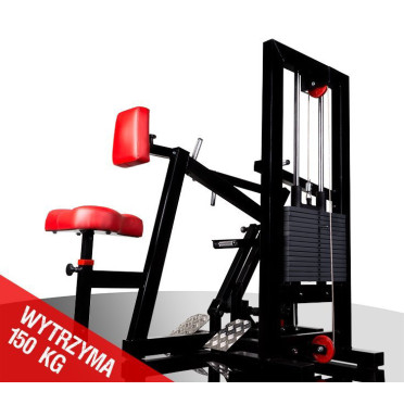 Machine pour musculation du dos en salle de sport