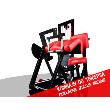 Station de musculation pour les biceps et triceps en salle de sport commerciale