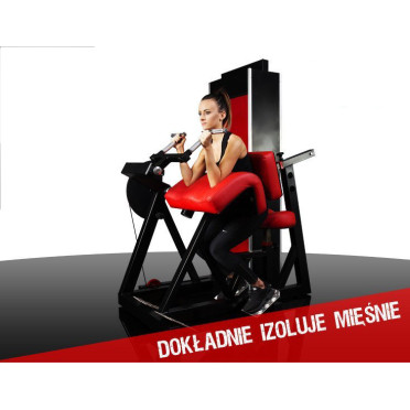 Station curl à biceps pour les professionnels de la musculation