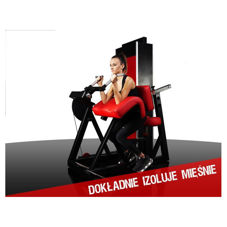 Station curl à biceps pour les professionnels de la musculation