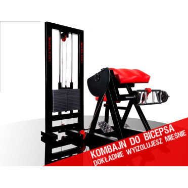 Station curl à biceps ergonomique pour salles pro