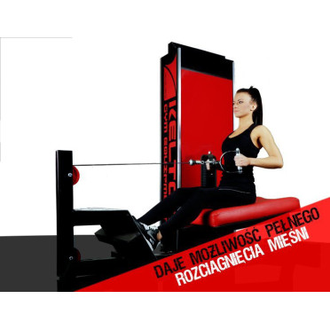 Station musculation rowing dorsaux pour club de sport