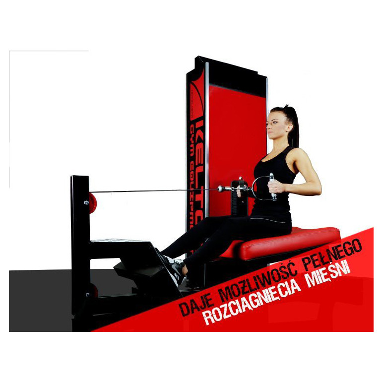 Station musculation rowing dorsaux pour club de sport