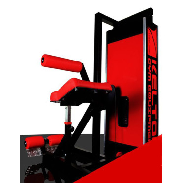 Station à abdominaux pour structure sportive professionnelle