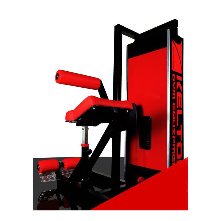 Station à abdominaux pour structure sportive professionnelle