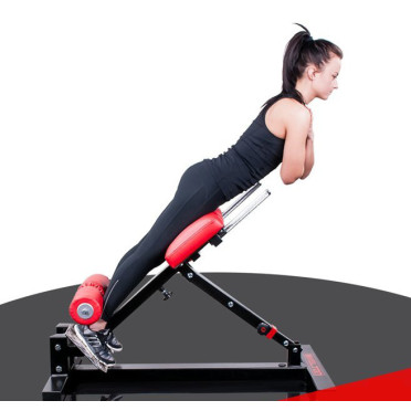 Back extension lombaires et abdominaux pour professionnels