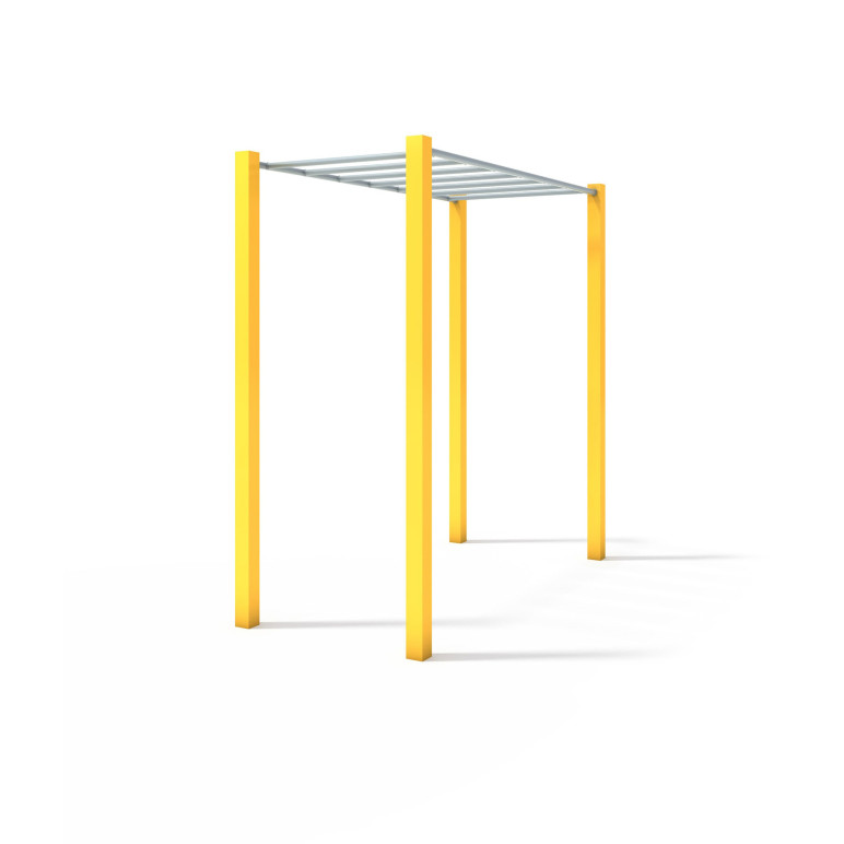 Echelle de street workout pour callisthénie