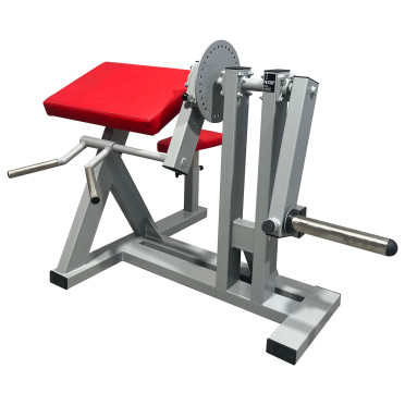Machine professionnelle pour les triceps et les biceps.