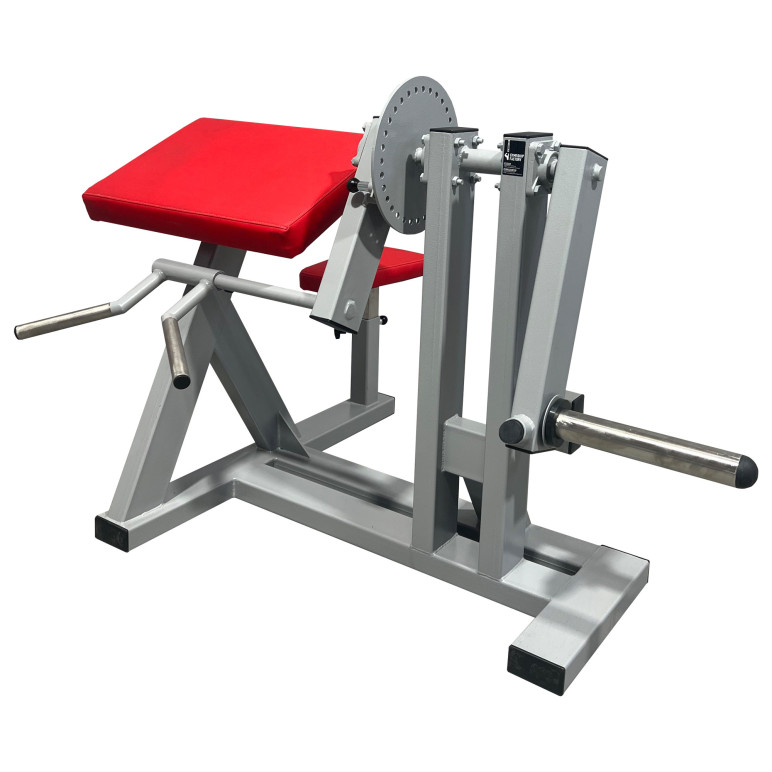 Machine professionnelle pour les triceps et les biceps.