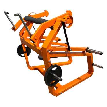 Machine Pupitre à biceps à charge libre pour salle pro.