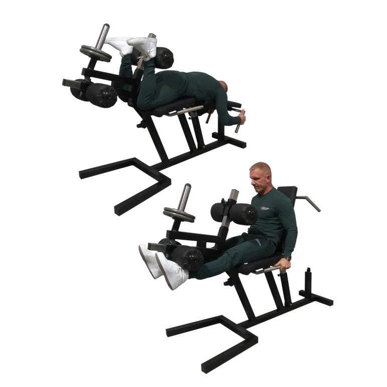 Station leg curl et leg extension à charge libre pour club sportif.