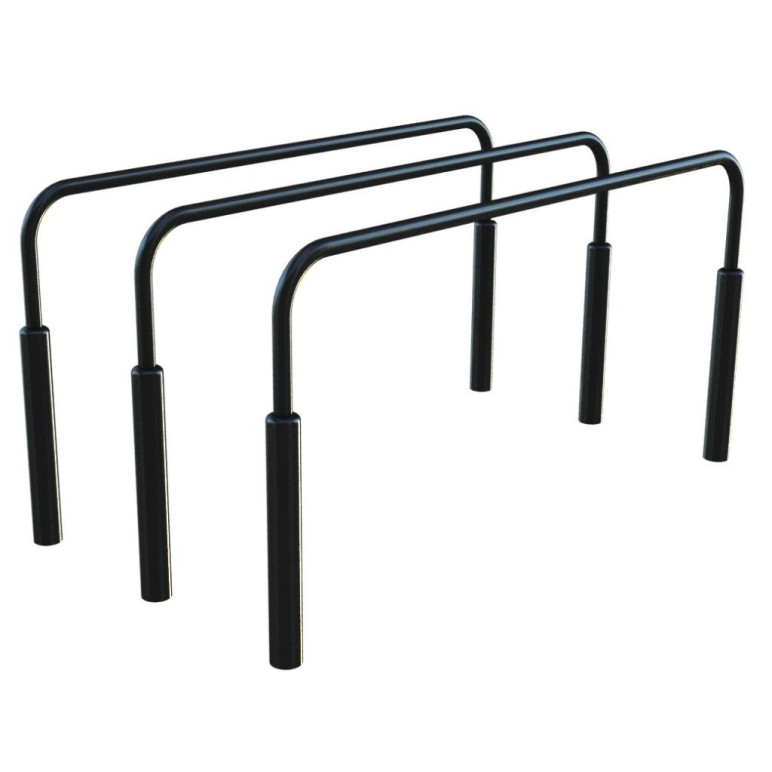 Atelier de street workout et callisthénie en plein air