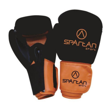 Gants de boxe
