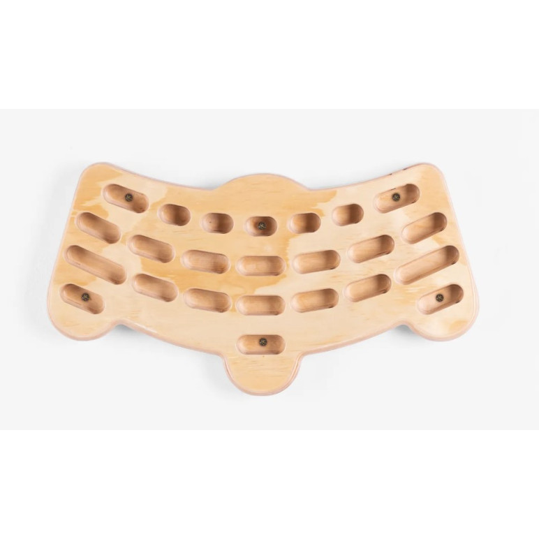 Grip Board pour entraînement et initiation à l'escalade - Amélioration de la prise en main