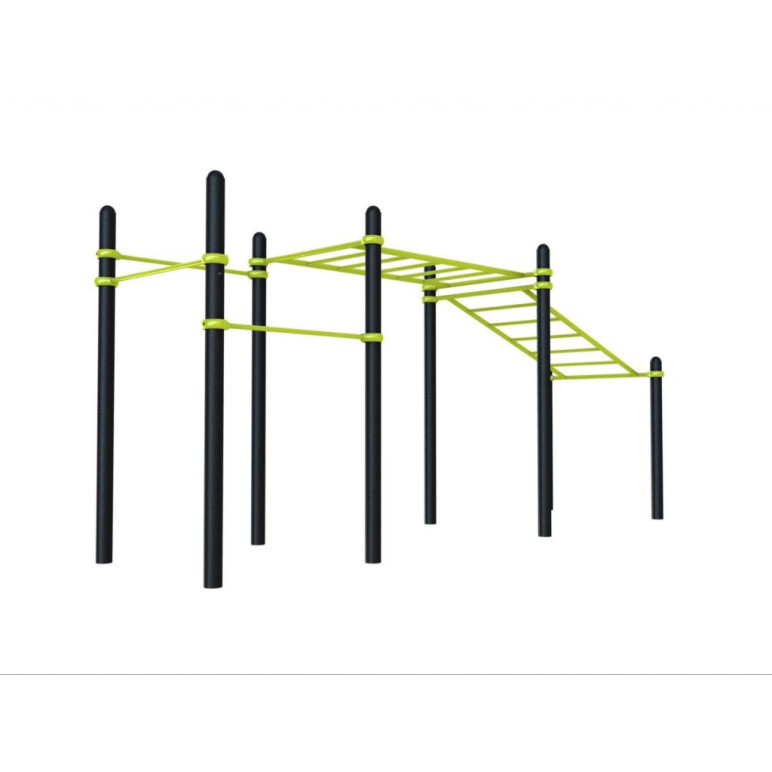 Grand module d'entraînement de street workout  pour PMR