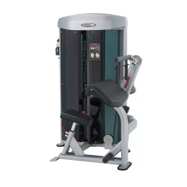 Station d'entraînement professionnelle de musculation pour triceps