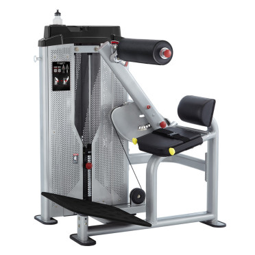 Machine professionnelle d'extension dorsal