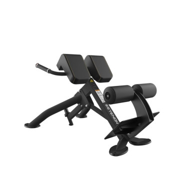 Banc d'hyper-extension de 45°