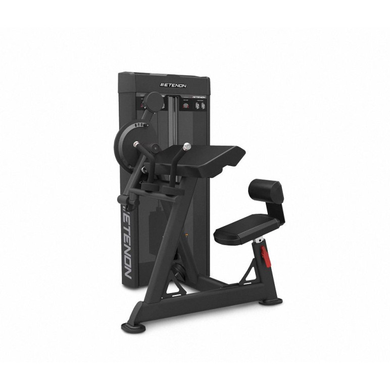 Machine de musculation professionnelle pour extensions des triceps et curls biceps