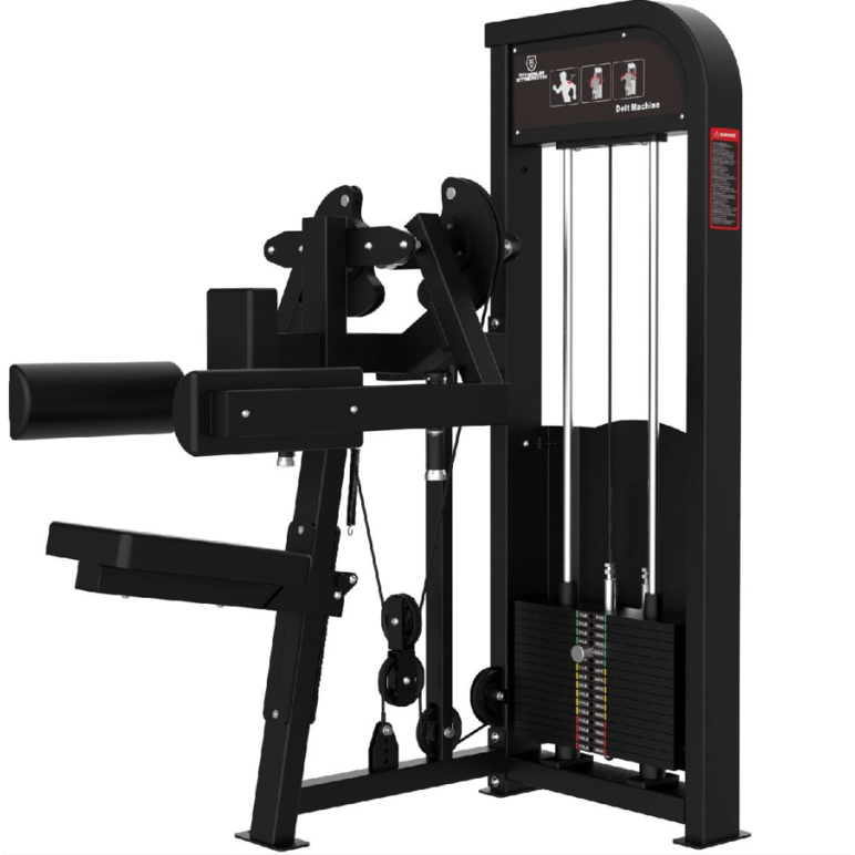 Delt machine assis à colonne de poids