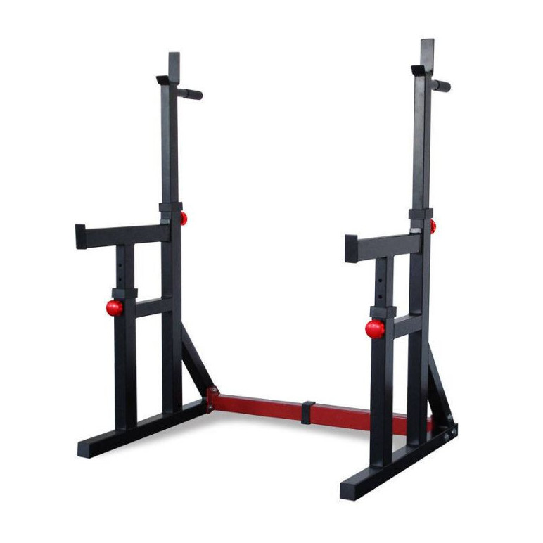Squat et dip stand