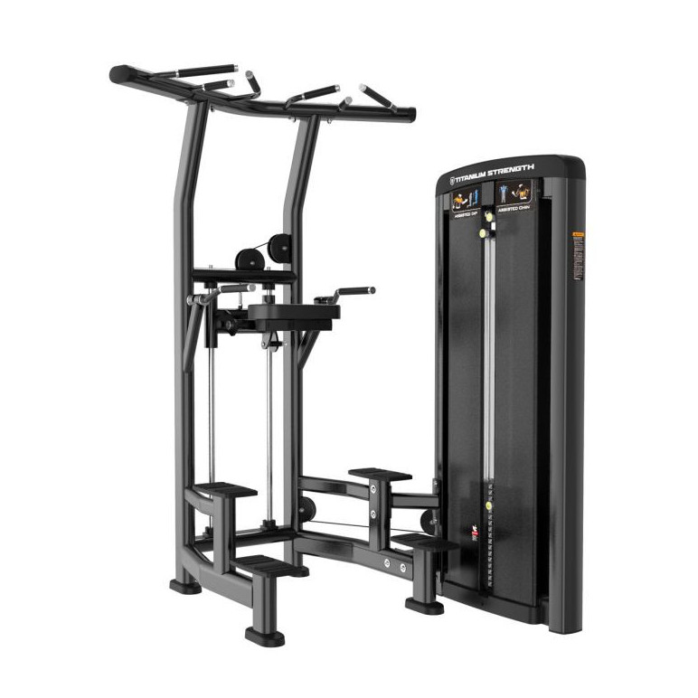 Station pro pour les dips et les tractions assistées