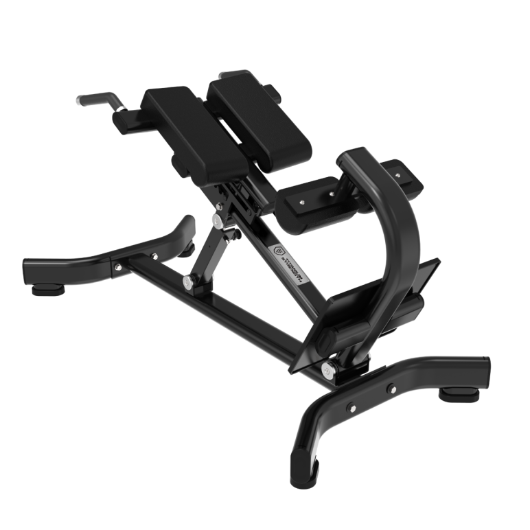 Banc à lombaires Hyperextension - Capacité de charge 200 kg - Black Series Titanium Strength