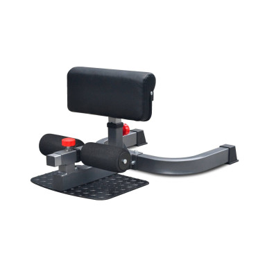 Sissy squat Titanium Strength