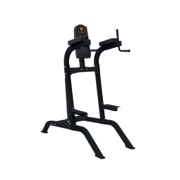 Chaise Romaine en acier robuste capacité de charge 200 kg pour Home-Gym