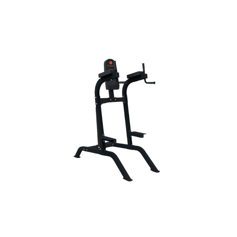 Chaise Romaine en acier robuste capacité de charge 200 kg pour Home-Gym