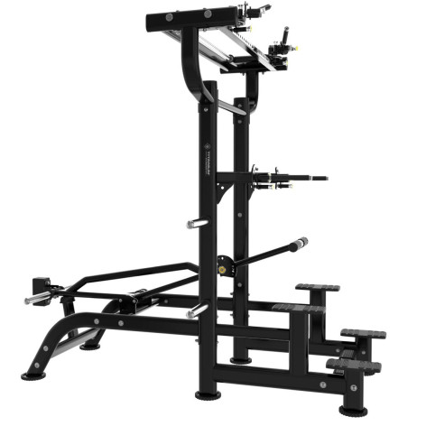 Assisted dips combo tractions station