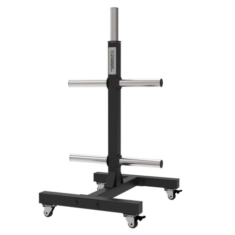 Support de rangement pour disques de poids