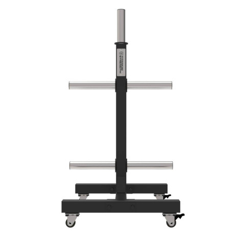 Support de stockage pour disques de poids