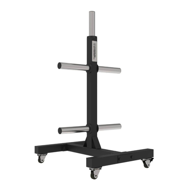 Support pour disques de poids