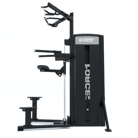 Dips et tractions machine Force USA