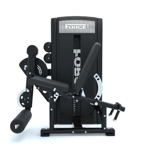 Station de musculation pour les jambes 2 en 1