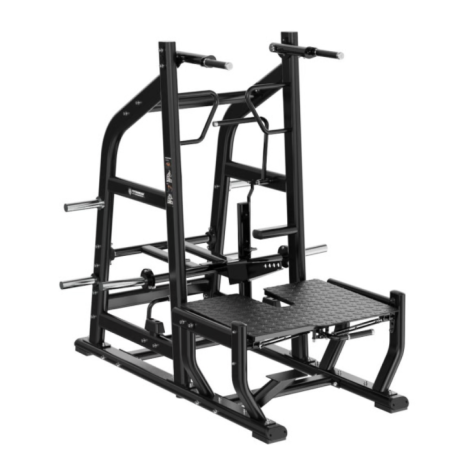 Belt squat dual dips station