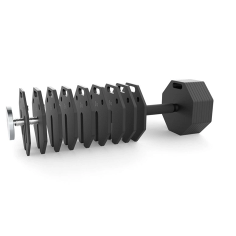 Octa dumbbells ATX