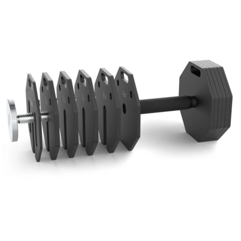 Paire de plaques 1 kg pour ajustement rapide